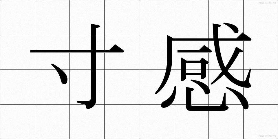 寸感 (すんかん)