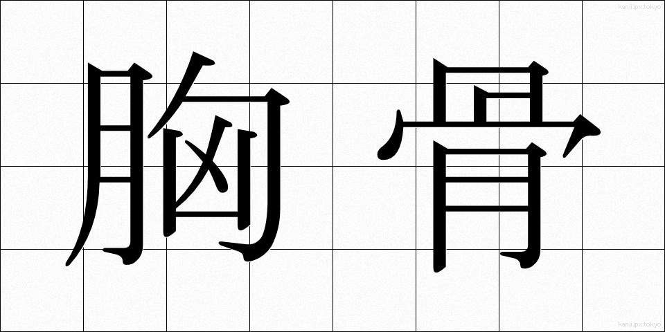 胸骨 (きょうこつ)