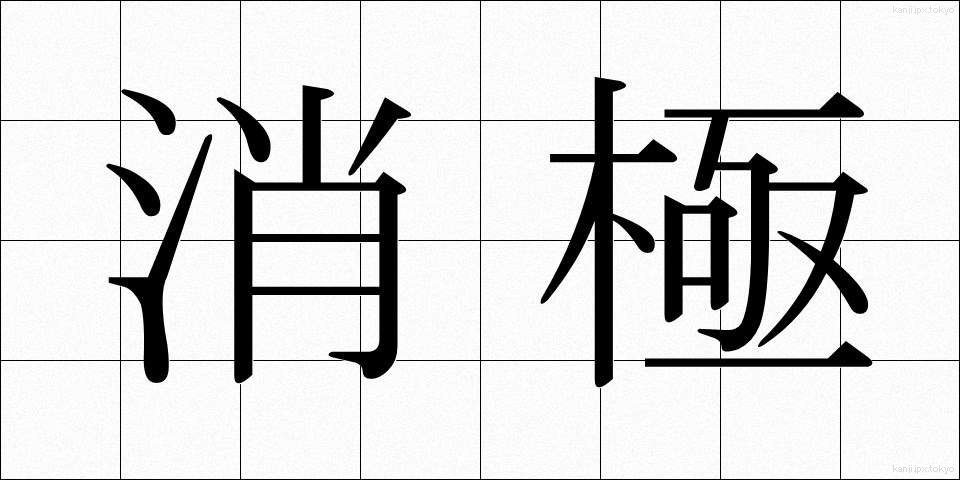 消極 (しょうきょく)