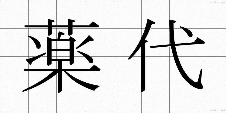 薬代 (やくだい)