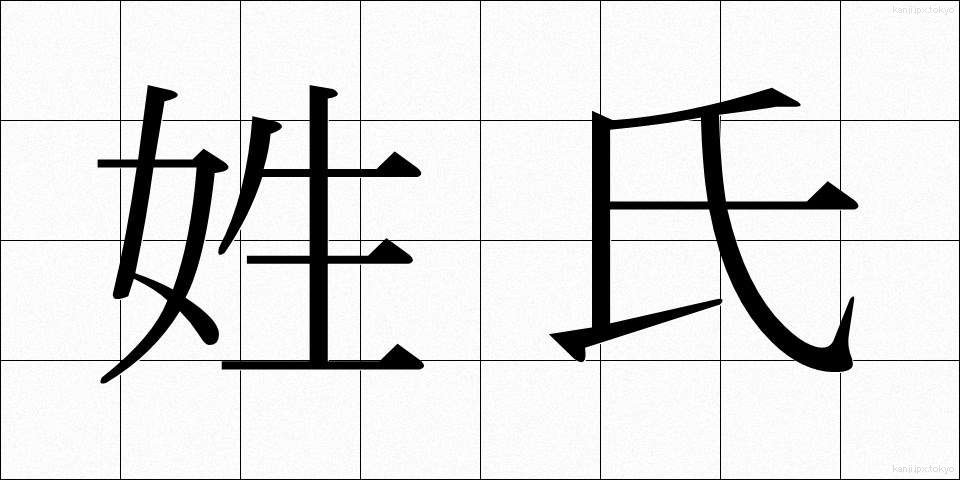 姓氏 (せいし)