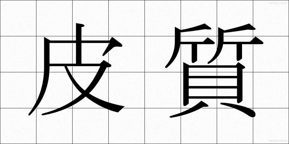 皮質 (ひしつ)
