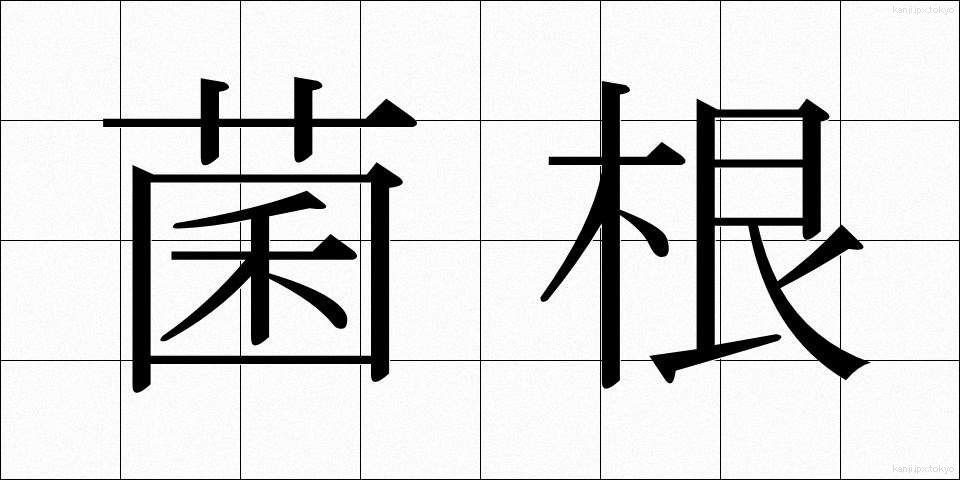 菌根 (きんこん)