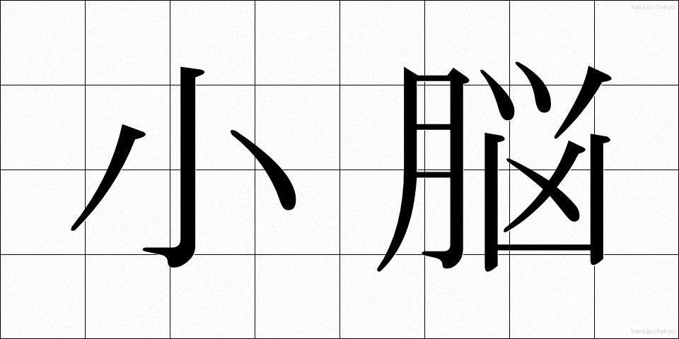 小脳 (しょうのう)