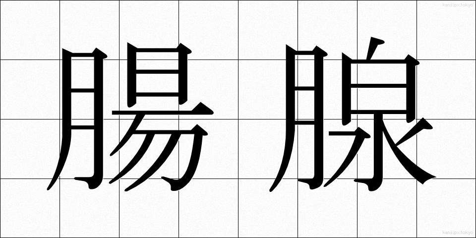 腸腺 (ちょうせん)