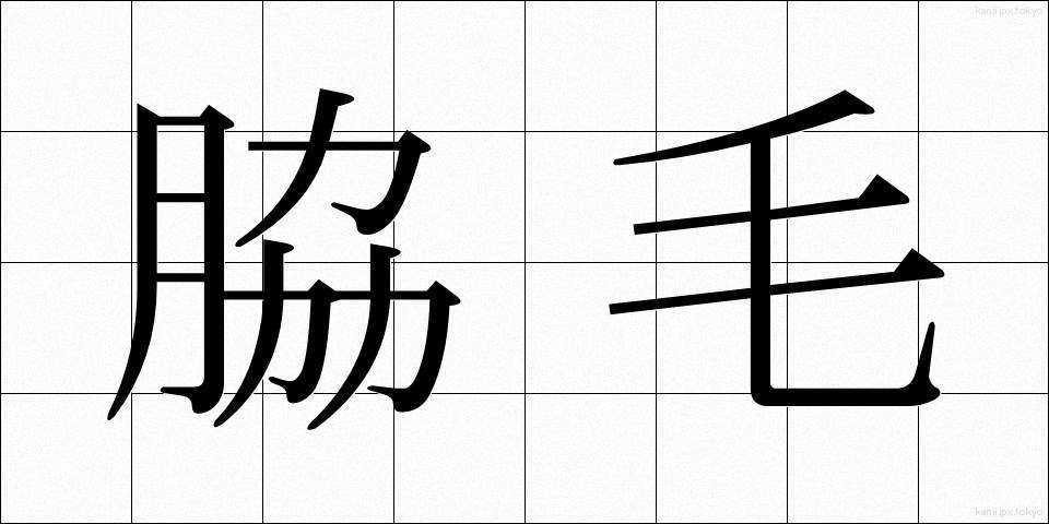 脇毛 (わきげ)
