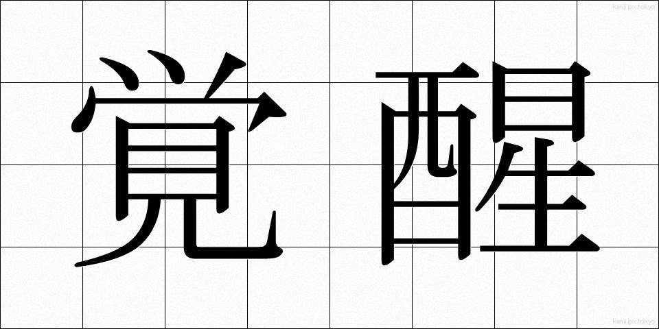 覚醒 (かくせい)