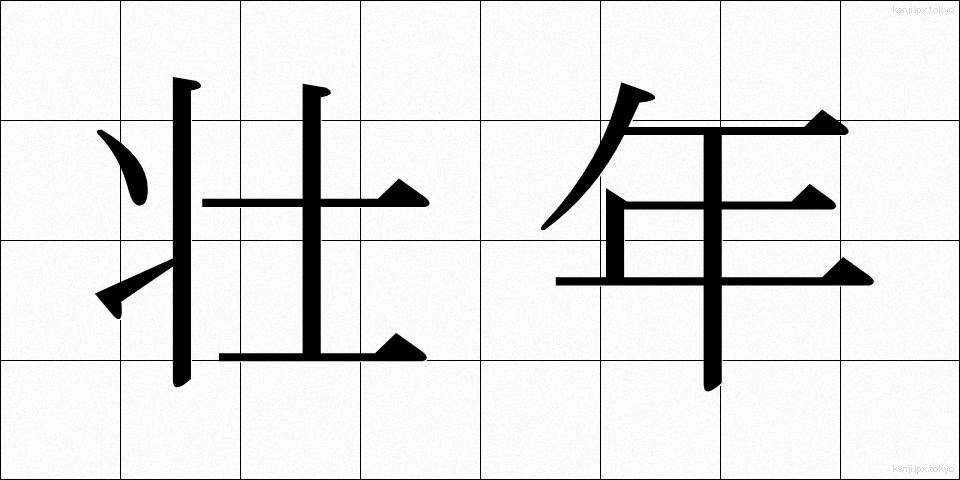 壮年 (そうねん)