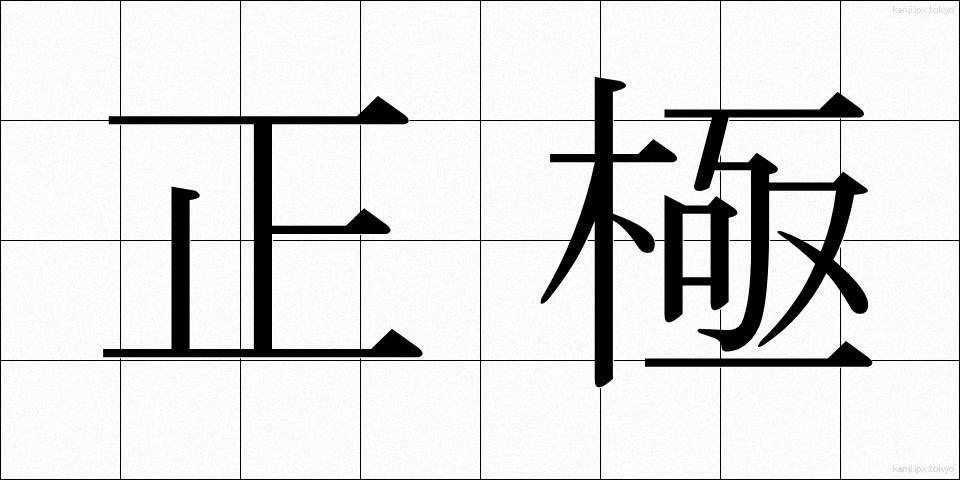 正極 (せいきょく)
