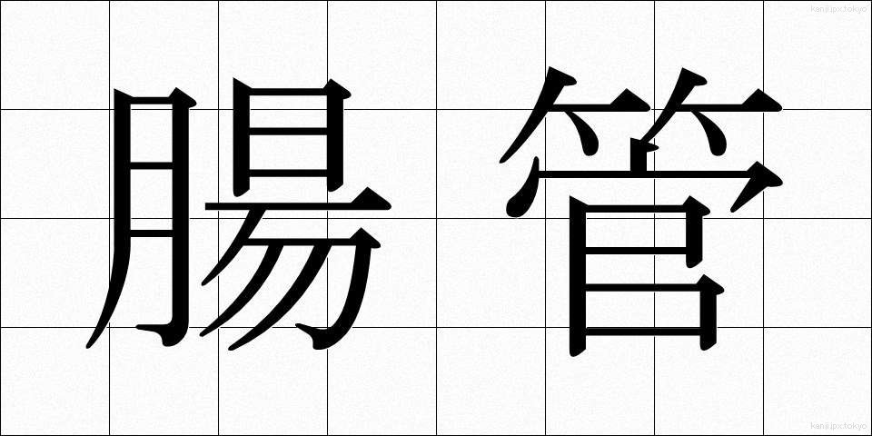 腸管 (ちょうかん)