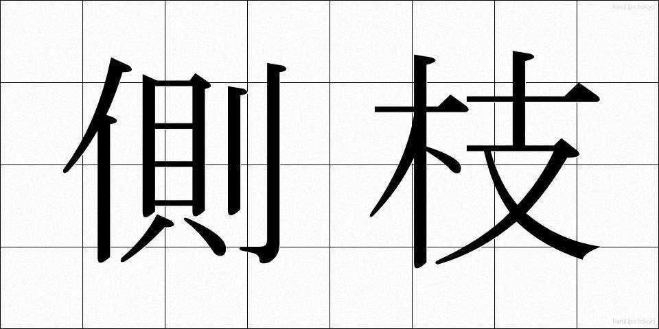 側枝 (そくし)