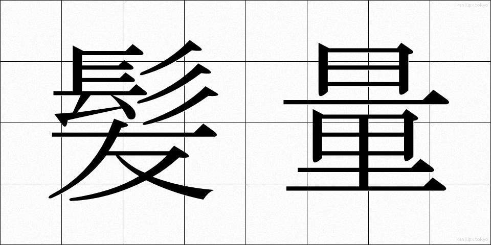 髪量 (かみりょう)