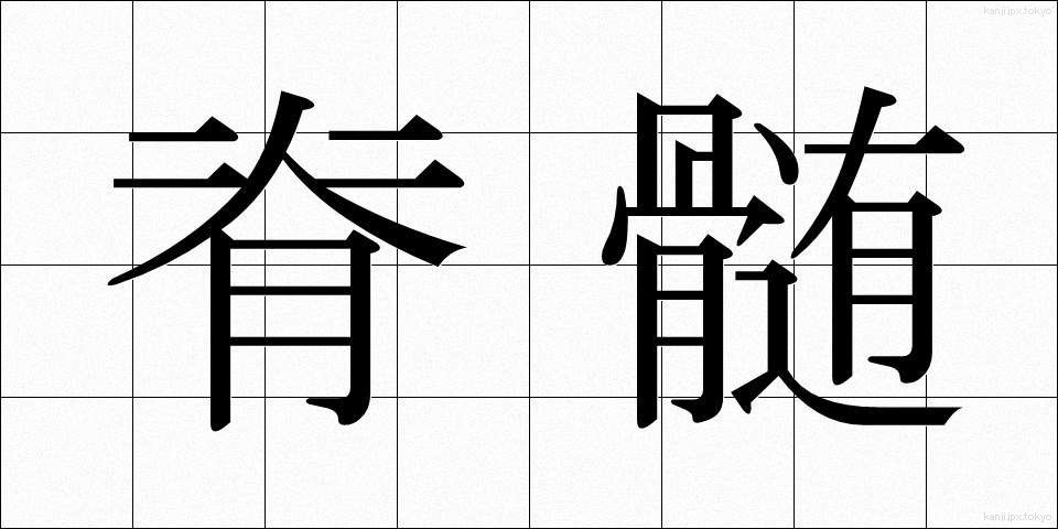 脊髄 (せきずい)