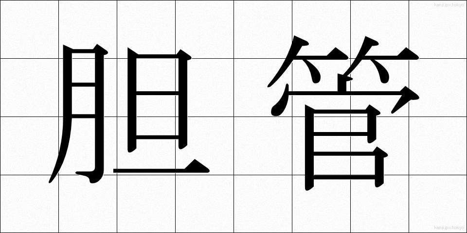 胆管 (たんかん)