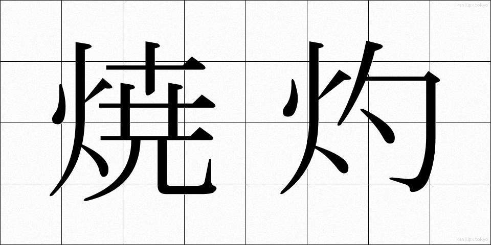 焼灼 (しょうしゃく)