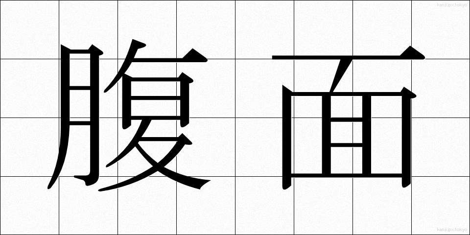 腹面 (ふくめん)