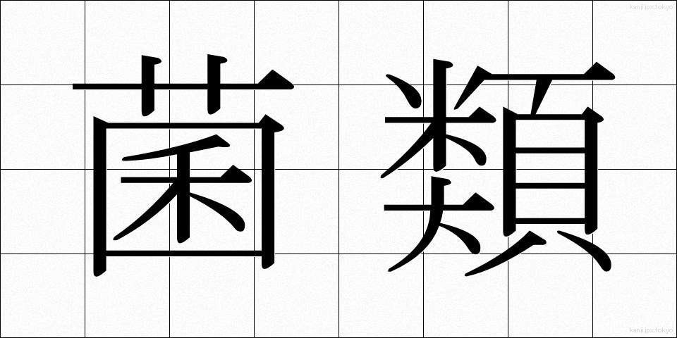 菌類 (きんるい)