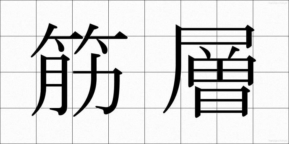 筋層 (きんそう)