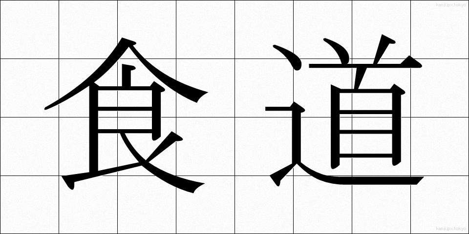 食道 (しょくどう)