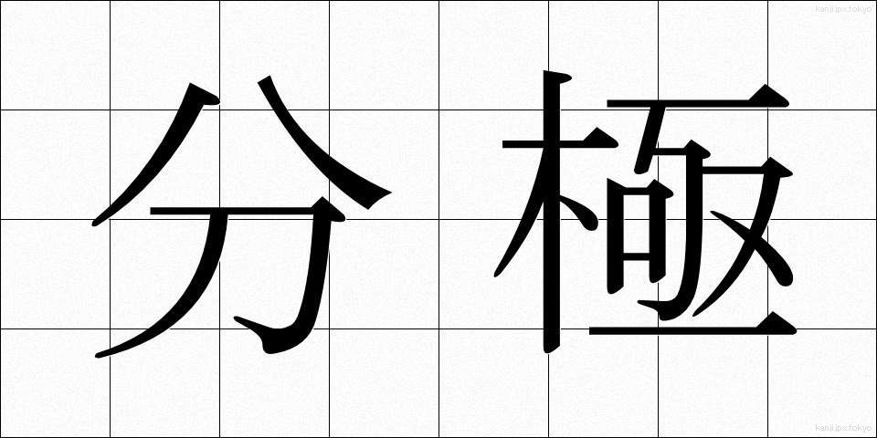 分極 (ぶんきょく)