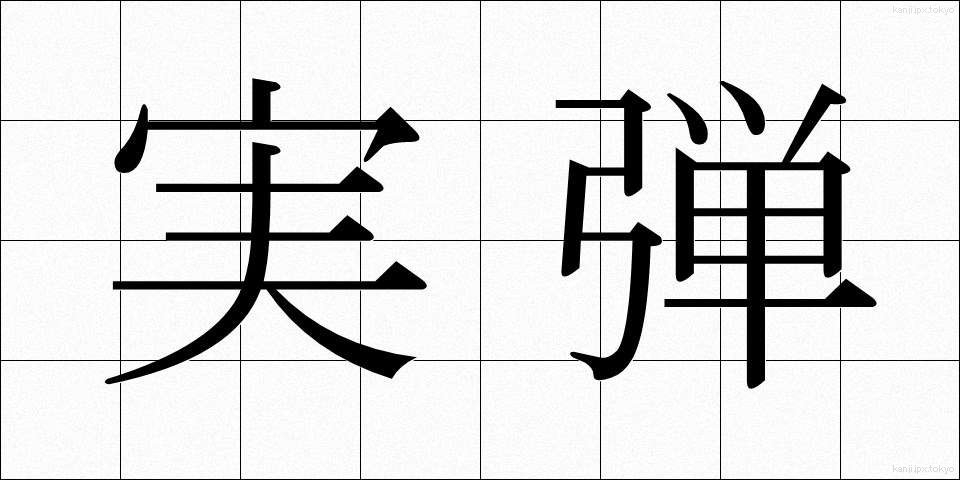 実弾 (じつだん)