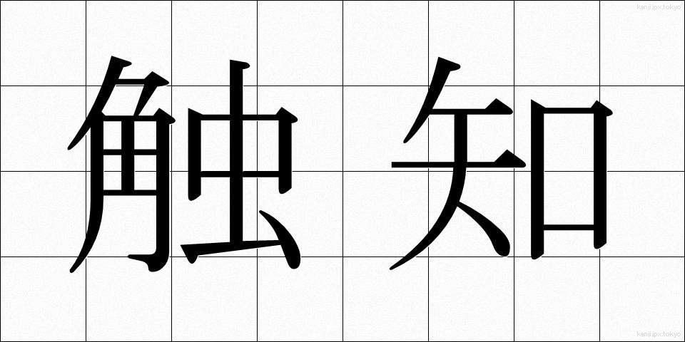 触知 (しょくち)