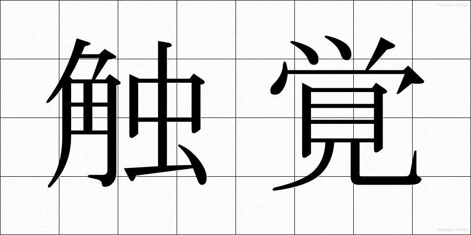 触覚 (しょっかく)