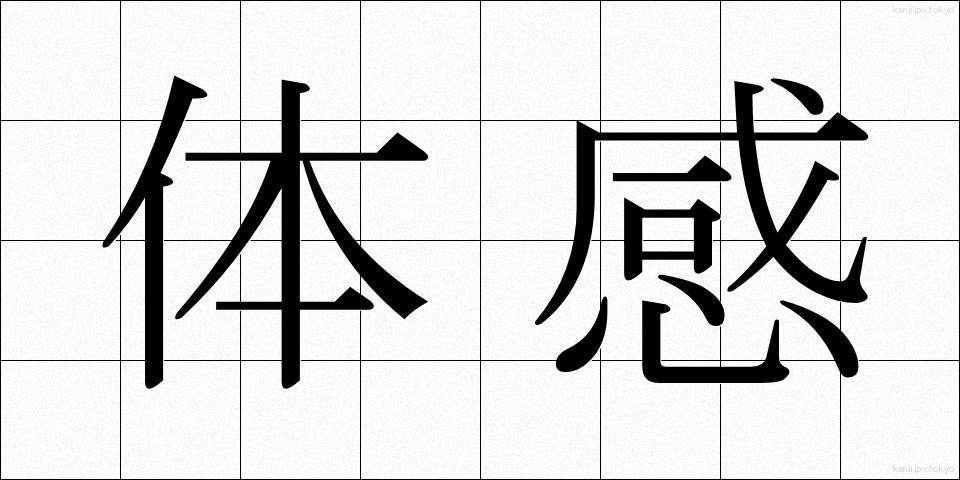 体感 (たいかん)