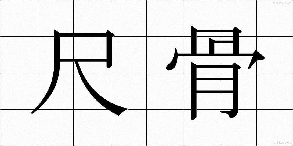 尺骨 (しゃっこつ)