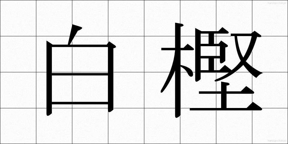 白樫 (しらかし)