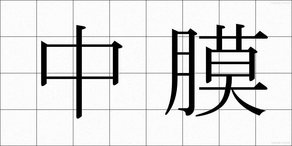 中膜 (ちゅうまく)