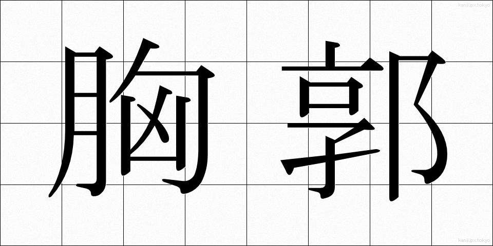 胸郭 (きょうかく)