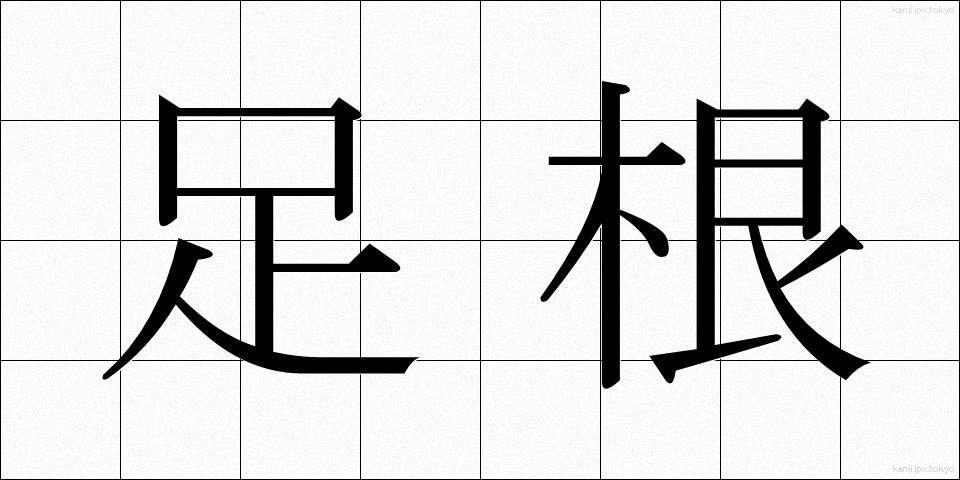 足根 (そっこん)