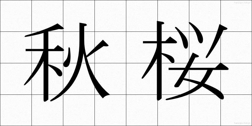 秋桜 (こすもす)