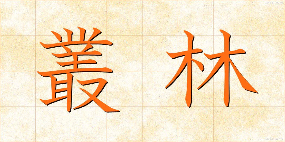 叢林 (そうりん)