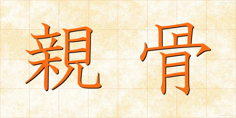 親骨 (おやぼね)