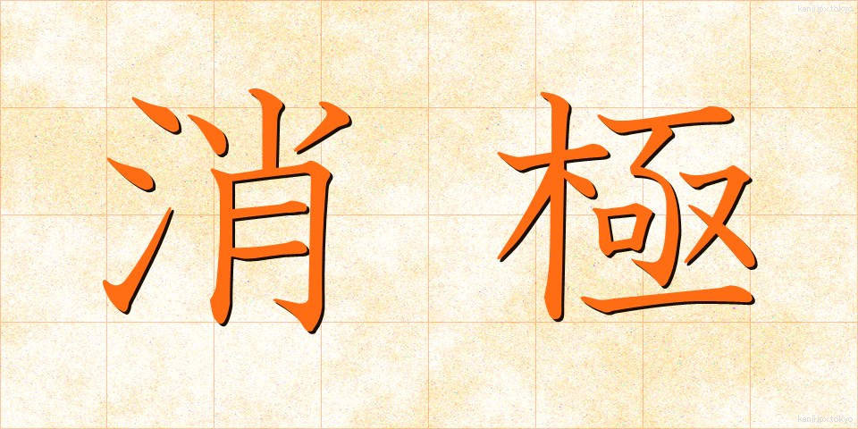 消極 (しょうきょく)