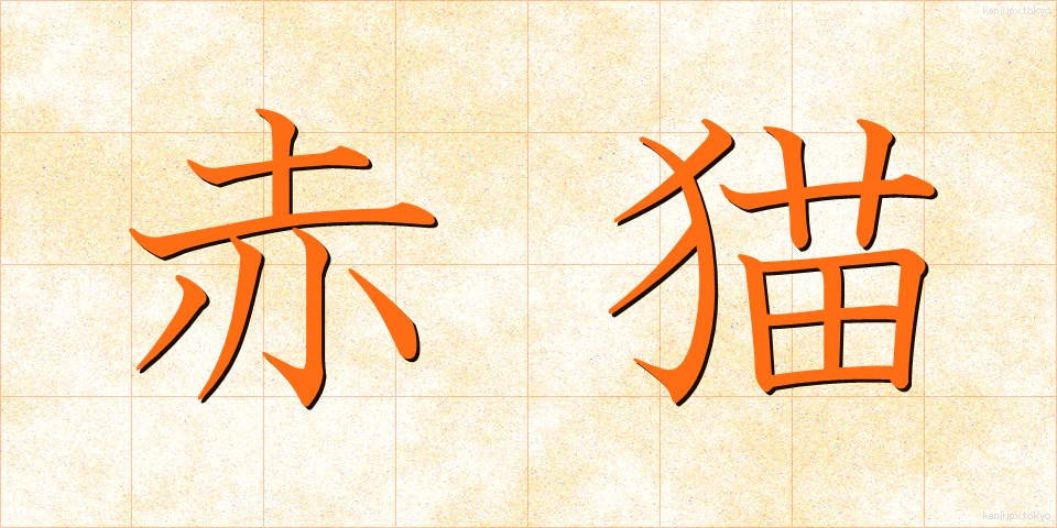 赤猫 (あかねこ)