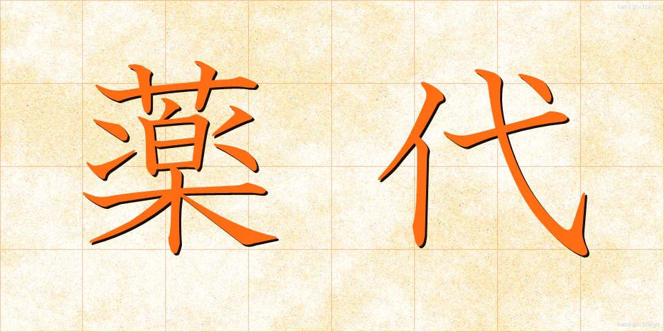 薬代 (やくだい)