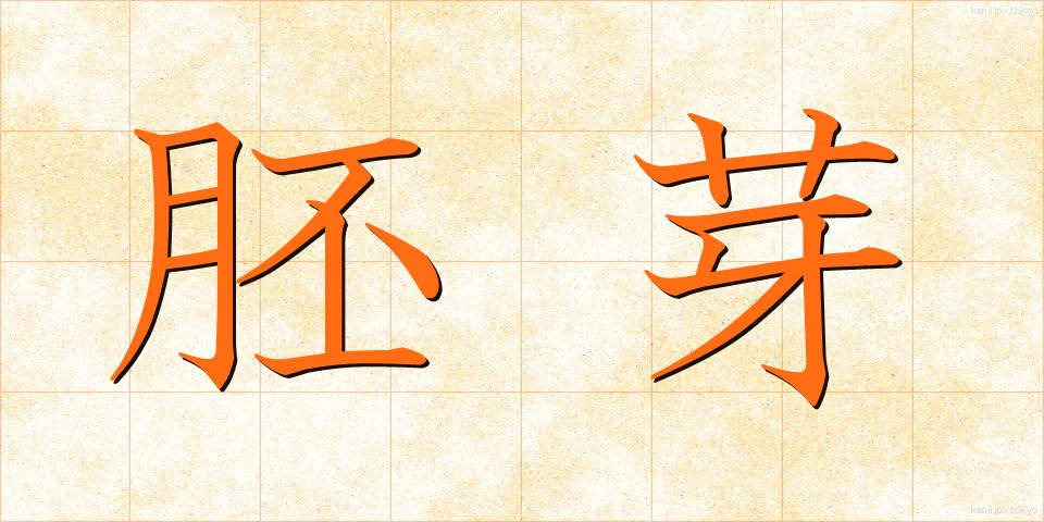 胚芽 (はいが)