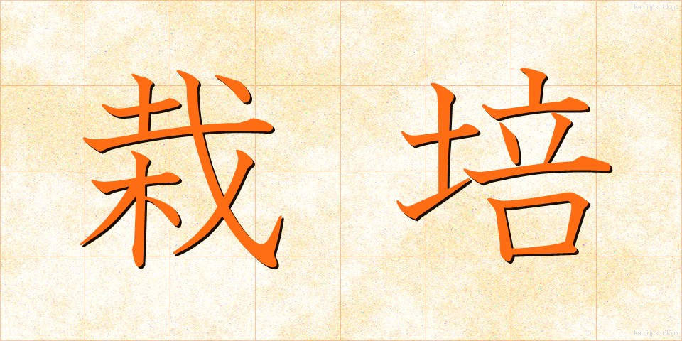 栽培 (さいばい)