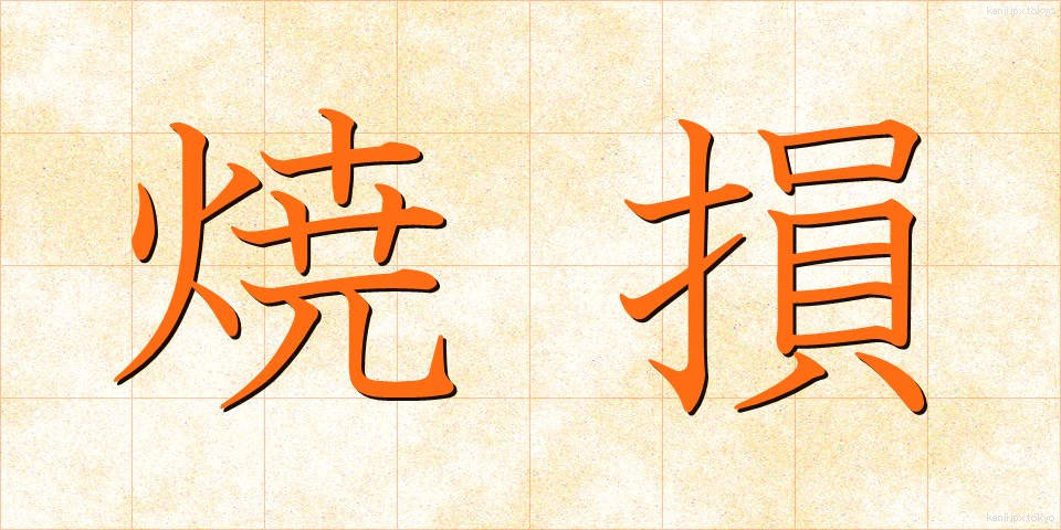 焼損 (しょうそん)