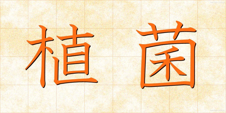 植菌 (しょっきん)