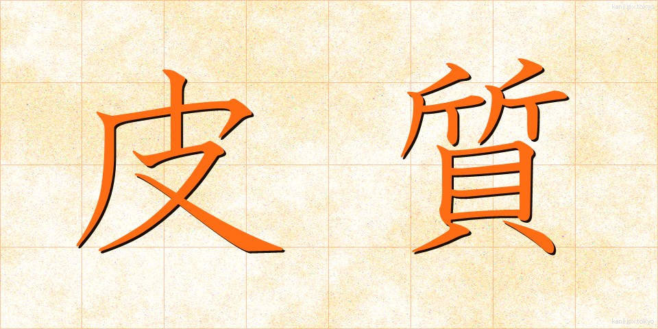 皮質 (ひしつ)