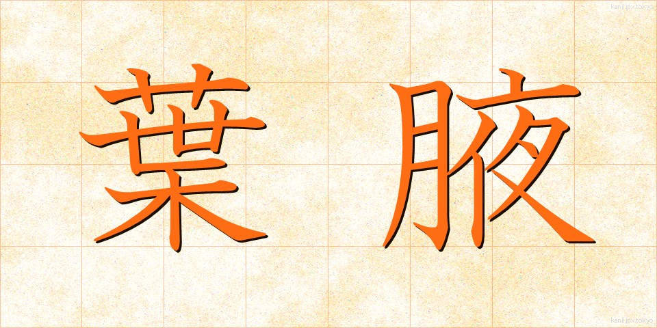 葉腋 (ようえき)