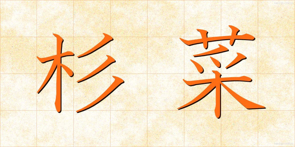 杉菜 (すぎな)