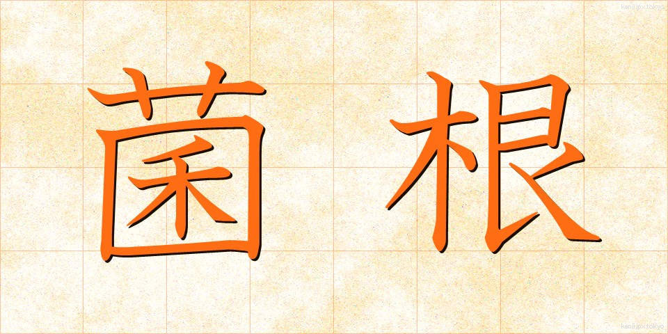 菌根 (きんこん)