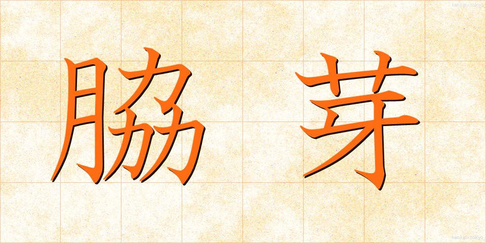 脇芽 (わきめ)