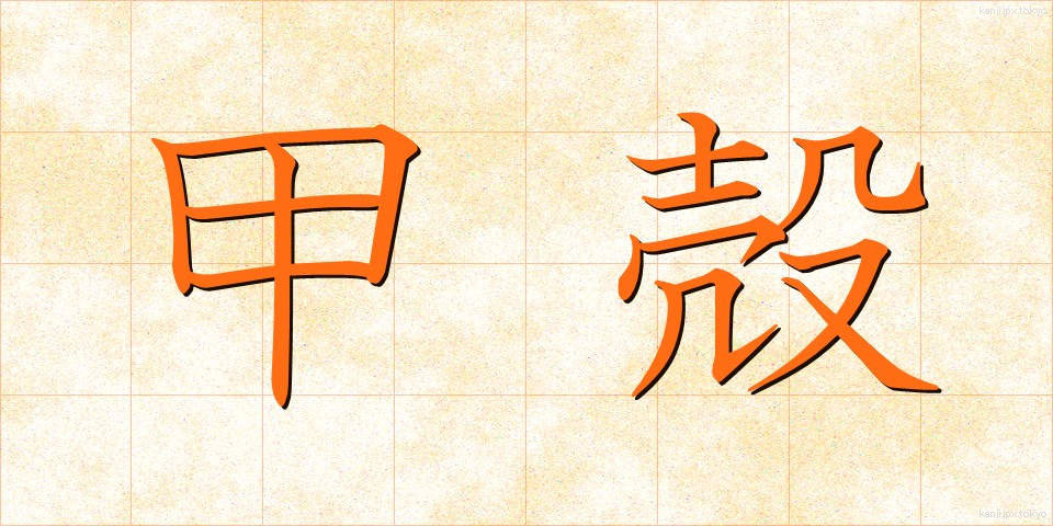 甲殻 (こうかく)