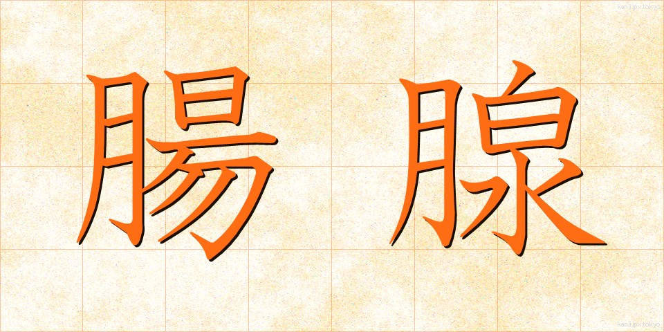 腸腺 (ちょうせん)